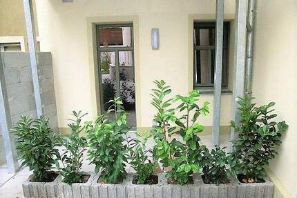 Erdgeschoss - 2 Zimmerwohnung in der Bischofwerdaer Innenstadt mit Terrasse - Bischofswerda