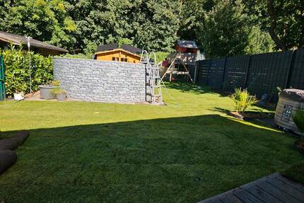 Doppelhaushälfte in Hassel - 249.000,00&nbsp;EUR Kaufpreis, ca.&nbsp; 81,00&nbsp;m&sup2; in Gelsenkirchen (PLZ: 45896) Gelsenkirchen-Nord