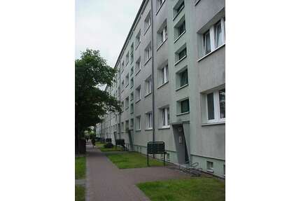 Wohnung zum Mieten in Wolgast 284,50 € 49.05 m²