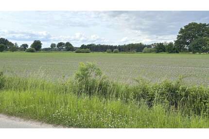 Grundstück in Westerstede 80.500,00 € 15575 m²