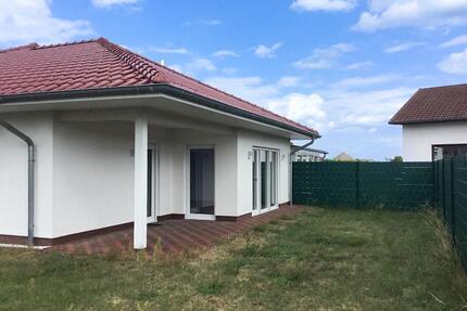 Hübsche Erdgeschosswohnung mit gepflegtem Garten! - Müden (Aller)