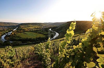 EXKLUSIVE UND SONNIGE LAGE MIT WEINBERG-AUSSICHT - Wiltingen