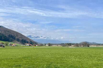 Wohnung zum Mieten in Bergen 890,00 € 64 m²