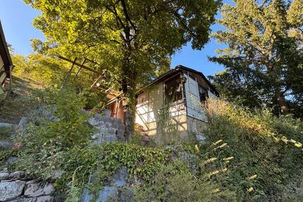 Hanggarten, Pachtgarten im Langetal - Jena Kernberge