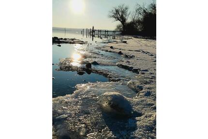 kleine Wohnung für Pflegerin - 800,00&nbsp;EUR Kaltmiete, ca.&nbsp; 35,00&nbsp;m&sup2; in Seefeld (PLZ: 82229)