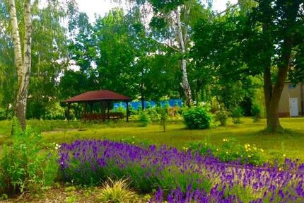 1&2 R-WE Senioren- Wohnen mit DRK-Service, große Grünanlage, ruhige, zentrale Toplage - Eilenburg