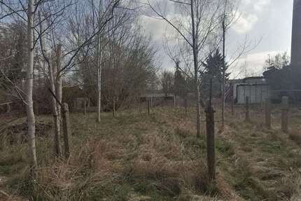 Grundstück zu verkaufen in Märkische Heide- Gross Leuthen 300.000,00 € 5237 m²