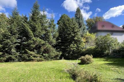 Idyllisches Baugrundstück in Liegau-Augustusbad - Radeberg