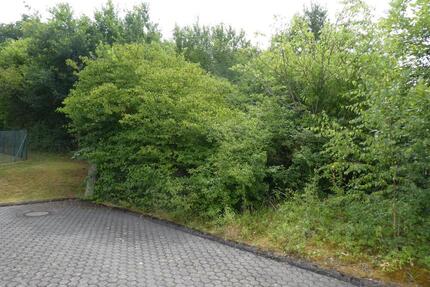Sonniges ruhig gelegenes Baugrundstück in schöner Randlage Trier-Feyen-Grafschaft