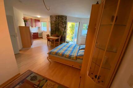 Appartment für Einzelperson - 450,00&nbsp;EUR Kaltmiete, ca.&nbsp; 35,00&nbsp;m&sup2; in Bendorf (PLZ: 56170)