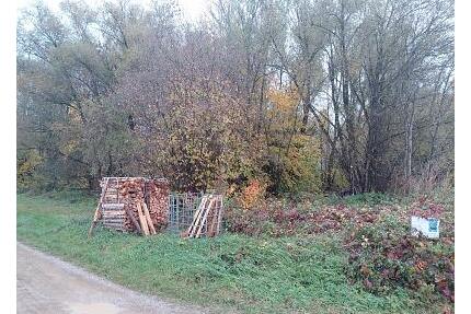 IDYLLISCHES WALDSTÜCK AM ORTSRAND - Landsberied
