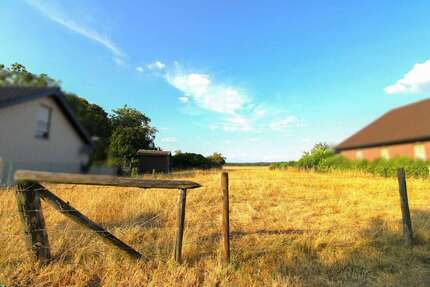 Grundstück zu verkaufen in Wassenberg 169.000,00 € 919.21 m²