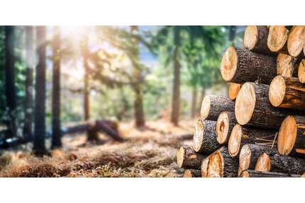 Grundstück in Ohlstadt 148.440,00 € 24740 m²