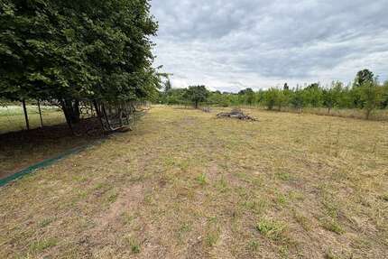 Grundstück in Lohr am Main 33.000,00 € 3193 m²