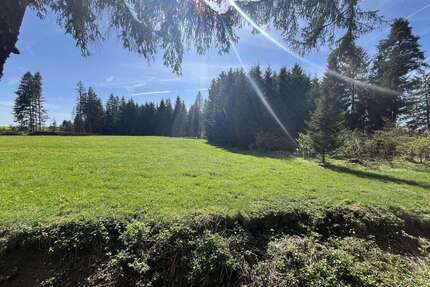 Grundstück zu verkaufen in Roßhaupten 28.000,00 € 3340 m²