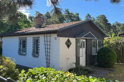 Haus zum Kaufen in Ueckermünde Bellin 98.000,00 € 50 m² - Ueckermünde / Bellin