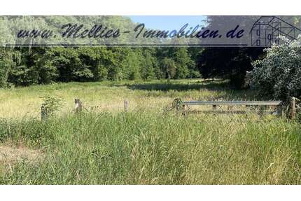 Grundstück zu verkaufen in Dannenberg 89.000,00 € 5508 m²