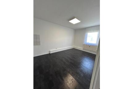 Renovierte 1 Zimmer Wohnung in Erlenbach am Main ab sofort