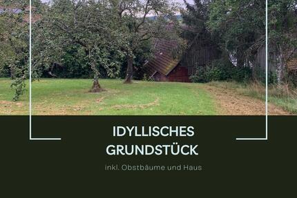 Idyllisches Grundstück mit Obstbäumen in Musbach - Freudenstadt