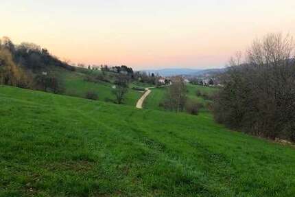 Grundstück zu verkaufen in Wittnau 1.000.000,00 € 1031 m²