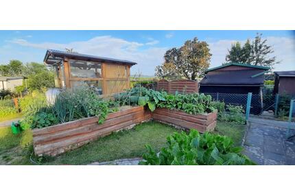 Kleingarten mit Laube, XXL- Gewächshaus und XXL-Hochbeet - Bautzen