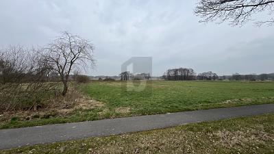 SONNIGES WEIDEPARADIES FÜR TIERHALTUNG - Wilstedt