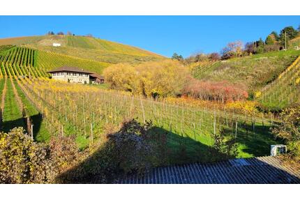 2-Zimmer Whg nach Sanierung am Weinberg | Mitgestalten möglich - Stuttgart Luginsland