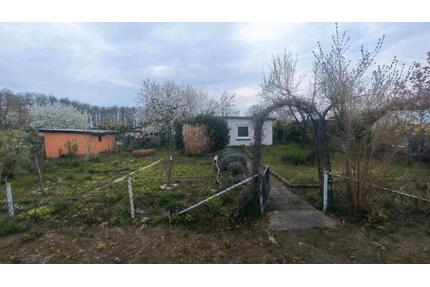 Kleingarten - 850,00&nbsp;EUR Kaltmiete, ca.&nbsp; 0,00&nbsp;m&sup2; in Schwerin (PLZ: 19057) Friedrichsthal