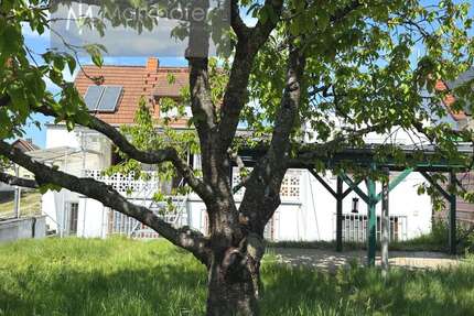 Haus zum Kaufen in Homburg 299.000,00 € 140 m²
