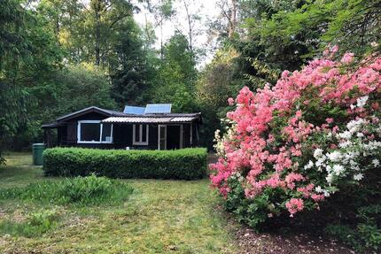 Wochenendhaus Waldhütte auf 5.000qm bei Rothenburg (Wümme) - Bothel