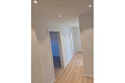 3 Zimmer DG Wohnung frisch saniert! - Gottmadingen