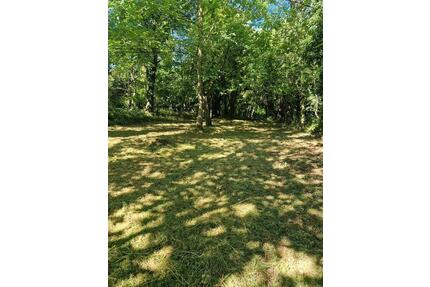 Garten Grundstück.Freizeitgrundstück.Bienen Stellplatz.Imker.Obst - Klingenmünster