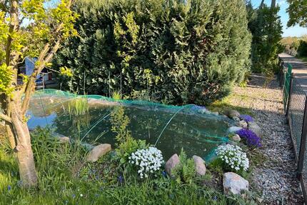 Gepflegter Garten in Halberstatt, abzugeben - Wernigerode
