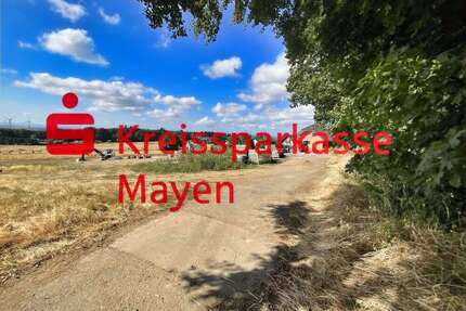Grundstück zu verkaufen in Mayen 96.000,00 € 384 m²