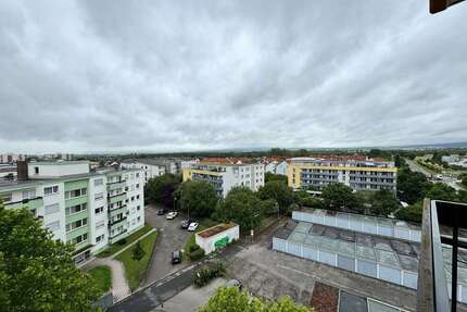 Wohnung zum Mieten in Hochheim 590,00 € 37 m²