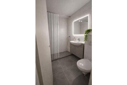 Frischkern sanierte und möblierte 1-Zimmer Wohnung in Plieningen - Stuttgart Birkach