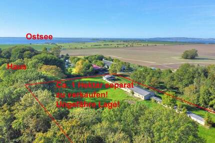 2 Häuser mit 3 FeWo + optional 1 ha Land - Ideal für Pferdeliebhaber - Schaprode Poggenhof