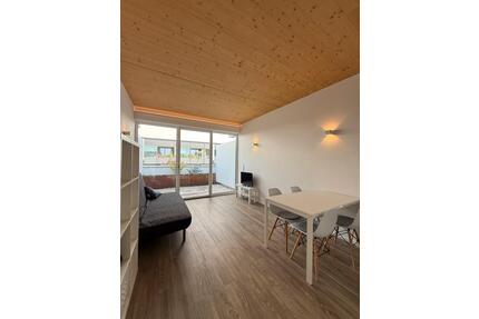 Apartment 36qm in Saarbrücken City