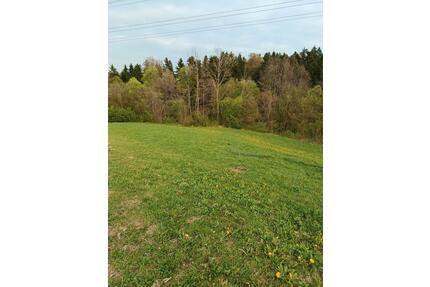 Wiese Grundstück Wald - 5,00&nbsp;EUR Kaltmiete, ca.&nbsp; 0,00&nbsp;m&sup2; in Tittling (PLZ: 94104)