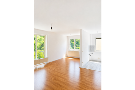Wohnung zum Mieten in Chemnitz 357,50 € 55 m²