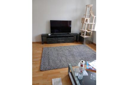 möblierte 2 Raum Wohnung - 420,00&nbsp;EUR Kaltmiete, ca.&nbsp; 54,00&nbsp;m&sup2; in Elsterberg (PLZ: 07985)