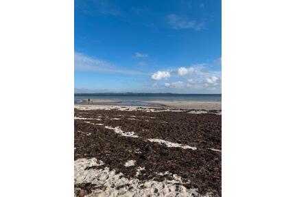 Befristete möblierte Zwischenmiete - Flensburg