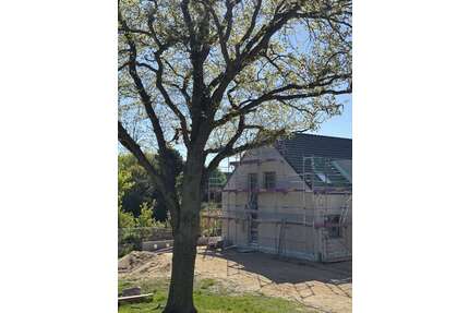 Wohnung zum Kaufen in Stein b Laboe 555.000,00 € 106.4 m²