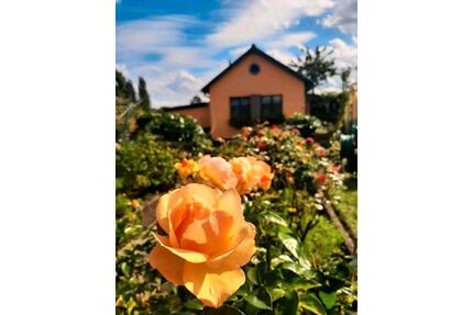 Kleingarten - 2.800,00&nbsp;EUR Kaltmiete, ca.&nbsp; 0,00&nbsp;m&sup2; in Stralsund (PLZ: 18439)