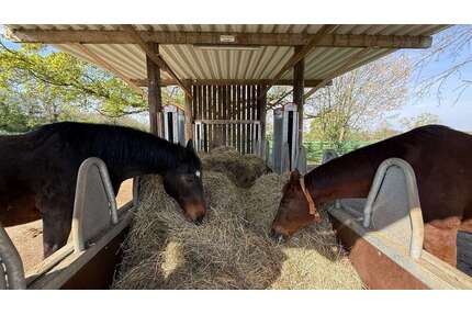 Haus zum Kaufen in Hamm 1.495.000,00 € 200 m²