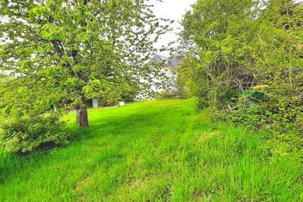 Grundstück zu verkaufen in Detmold 185.000,00 € 611 m²