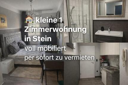 vollmöblierte 1-Zimmer-Wohnung in Stein bei Nürnberg