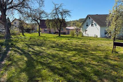 Grundstück nach belieben. - 50.000,00&nbsp;EUR Kaufpreis, ca.&nbsp; 0,00&nbsp;m&sup2; in Kalbach (PLZ: 36148)