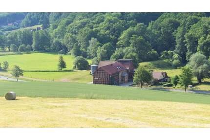 Haus zum Kaufen in Freden 449.000,00 € 298 m²