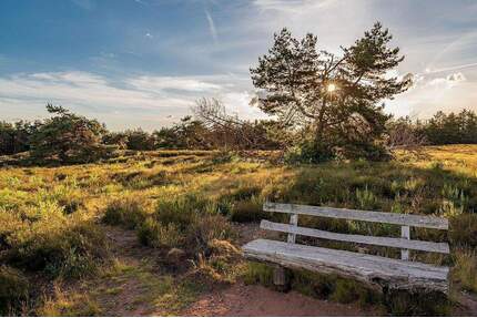 Wunderschöne 4-Zimmer Wohnung mit Garten & 2 Balkonen! - Radeberg Ullersdorf